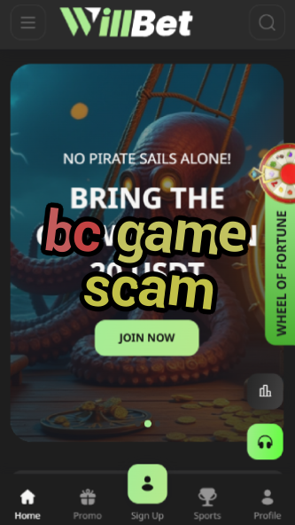 BC Game Scam - Legitimacy Check-vz72fvrf.com
