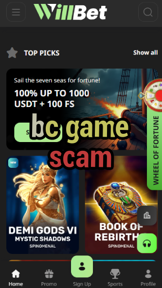 BC Game Scam - Legitimacy Check-vz72fvrf.com