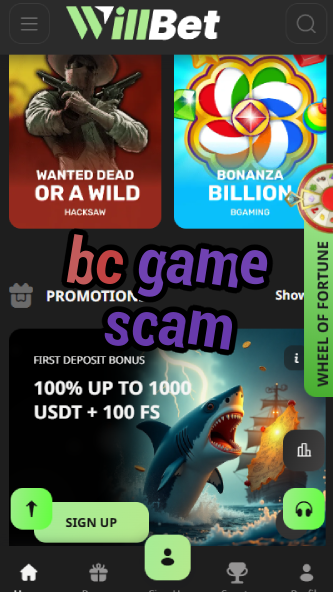 BC Game Scam - Legitimacy Check-vz72fvrf.com